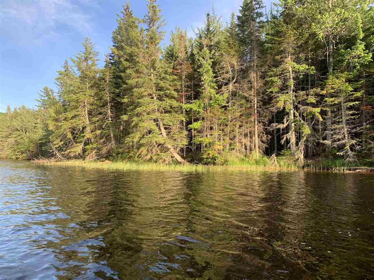 169 Black Lake Road, Black Lake, (MLS® 202013566) RE/MAX nova