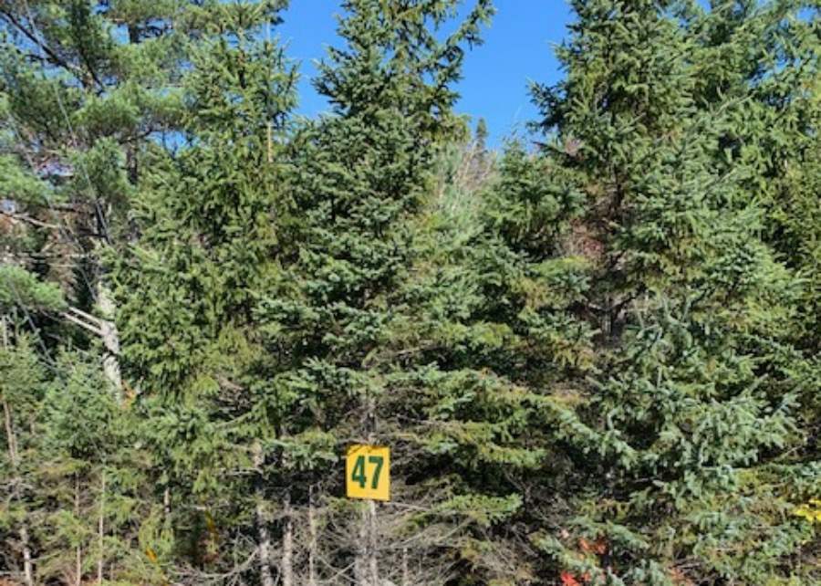 47 Meek Arm Trail, East Hants, (MLS® 202021676) RE/MAX nova