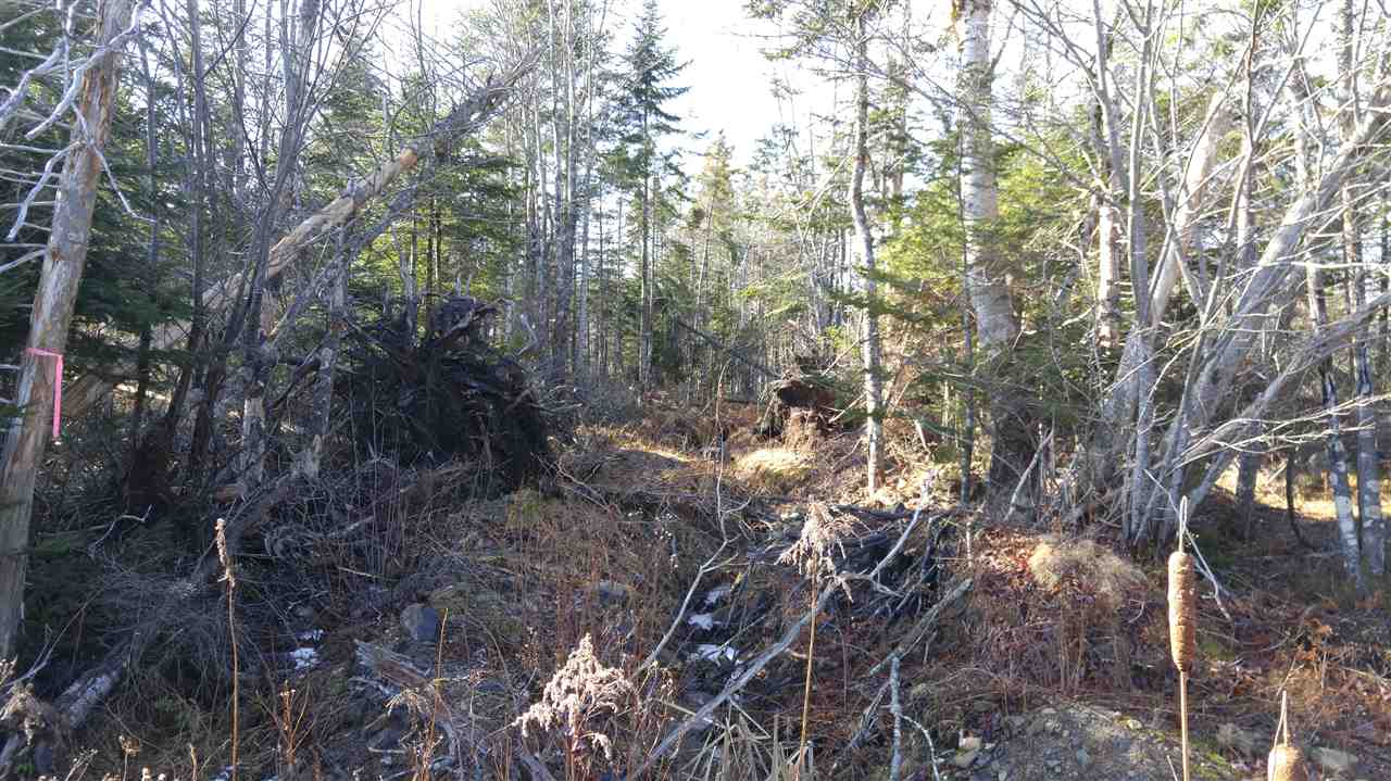 85 Glasgow Road, East Preston, (MLS® 202023574) RE/MAX nova