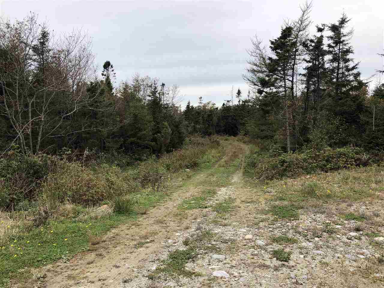 1790 Stoney Island Road, Stoney Island, (MLS® 202023852) RE/MAX nova