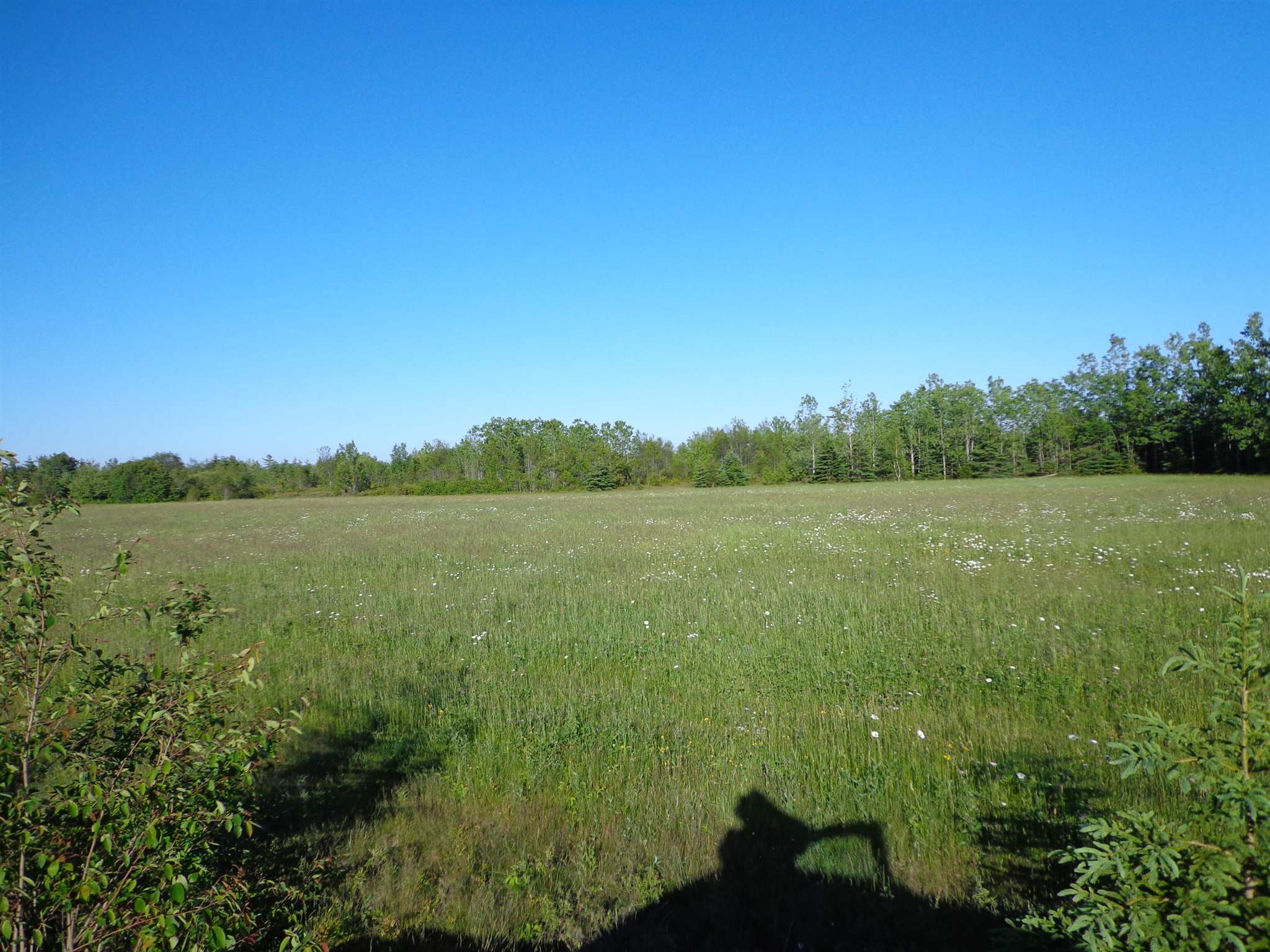 Lot 042 Little Dyke Road, Little Dyke, (MLS® 202105145) RE/MAX nova