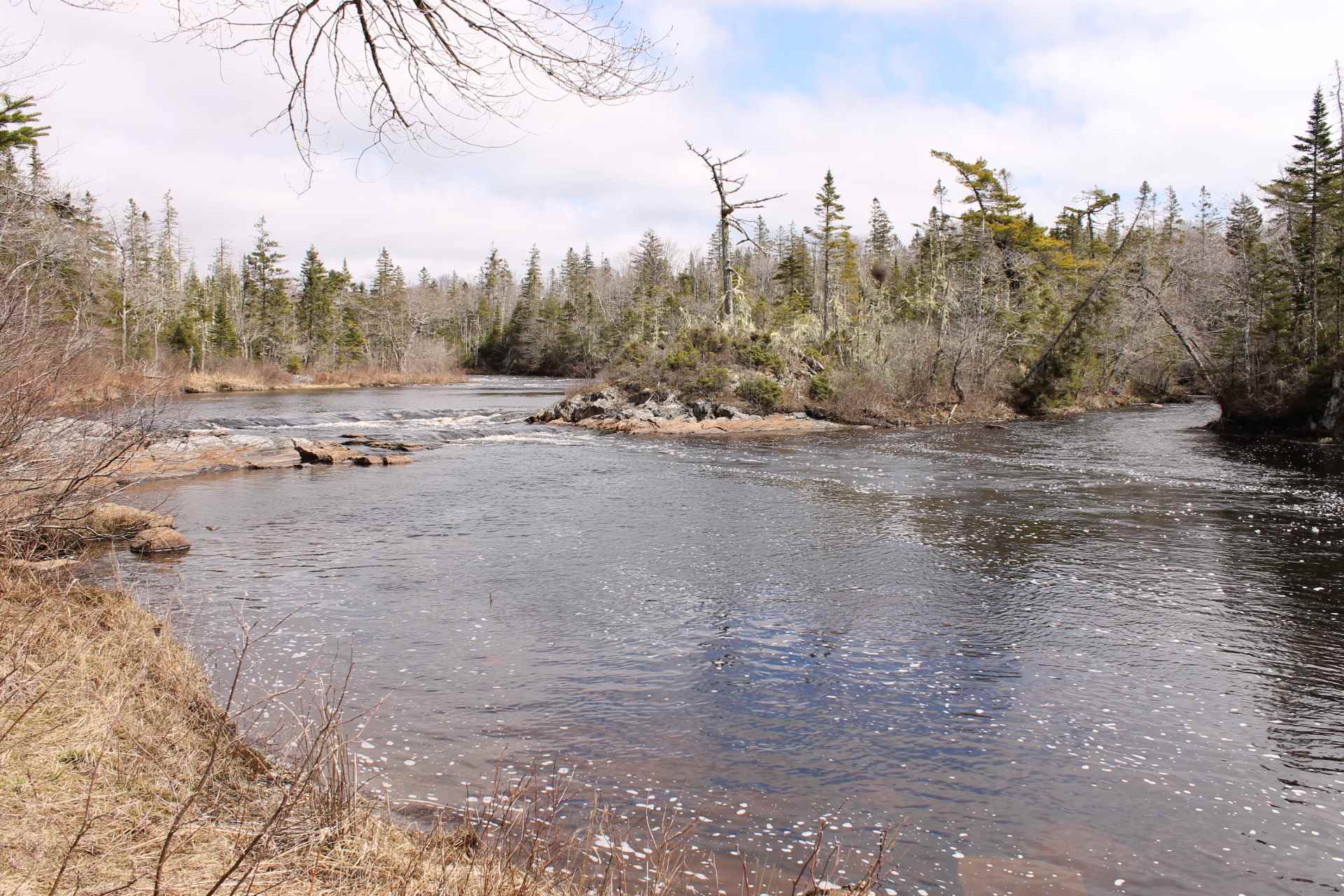 630 Moser River North Road, Moser River, (MLS® 202109952) RE/MAX nova