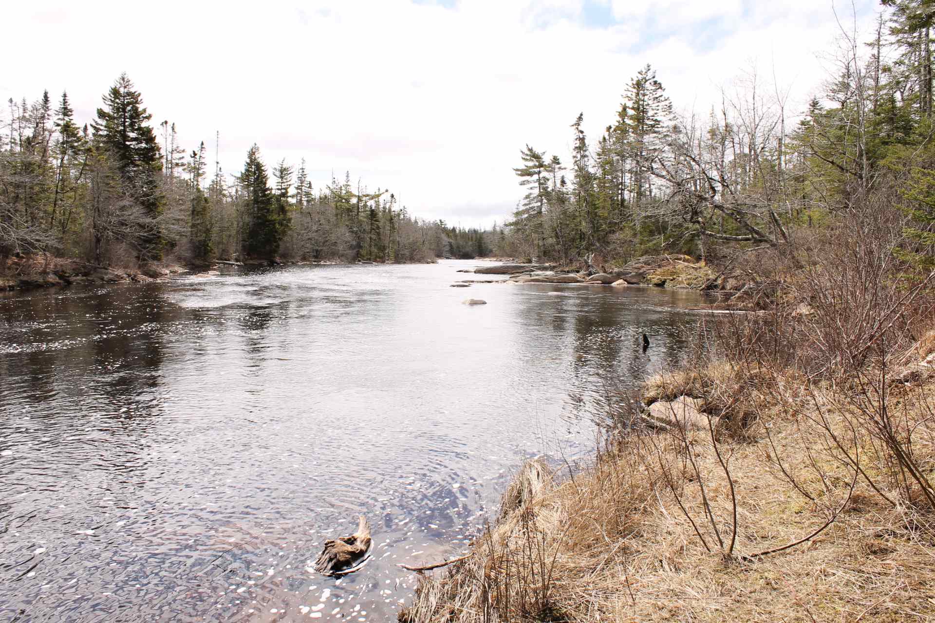 630 Moser River North Road, Moser River, (MLS® 202109952) RE/MAX nova