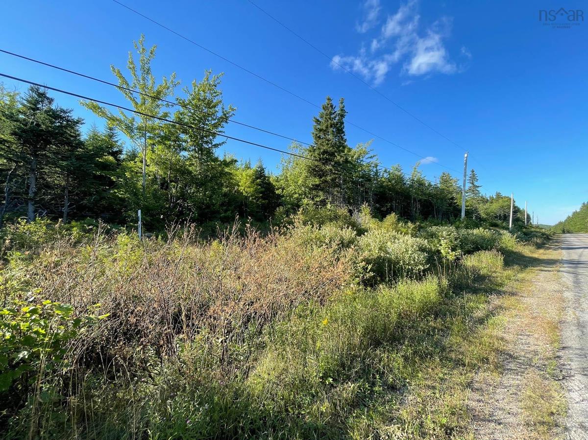 Hillside Boularderie Road, Southside Boularderie, (MLS® 202220535) RE