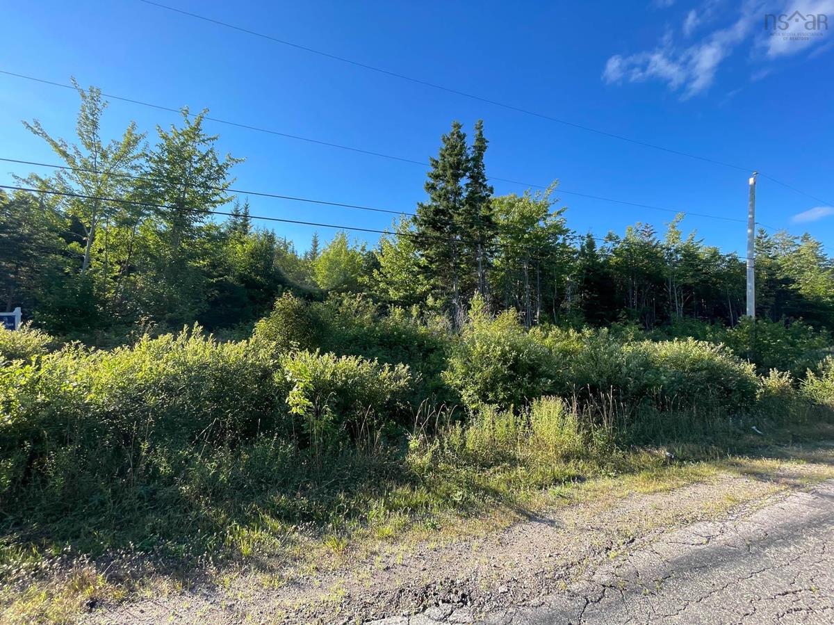 Hillside Boularderie Road, Southside Boularderie, (MLS® 202220535) RE