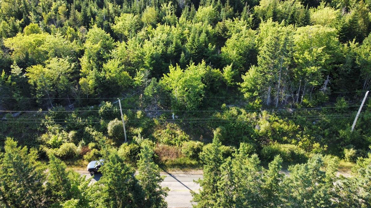 Hillside Boularderie Road, Southside Boularderie, (MLS® 202220535) RE