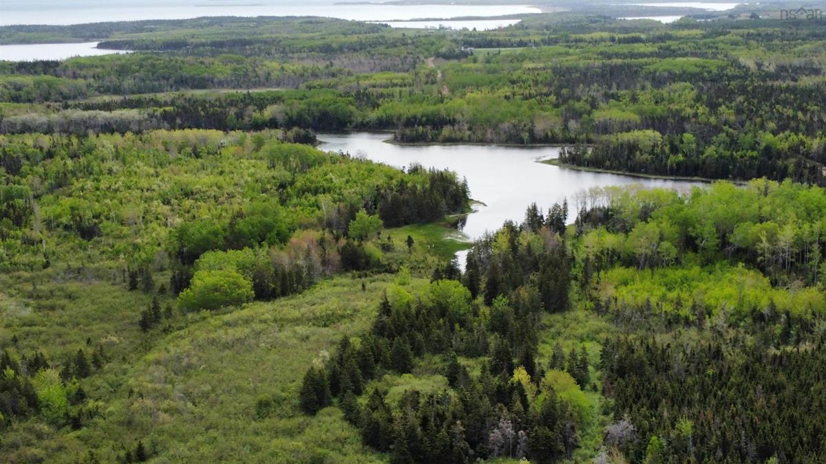 Houses for sale in Southside Antigonish Harbour, NS RE / MAX NOVA