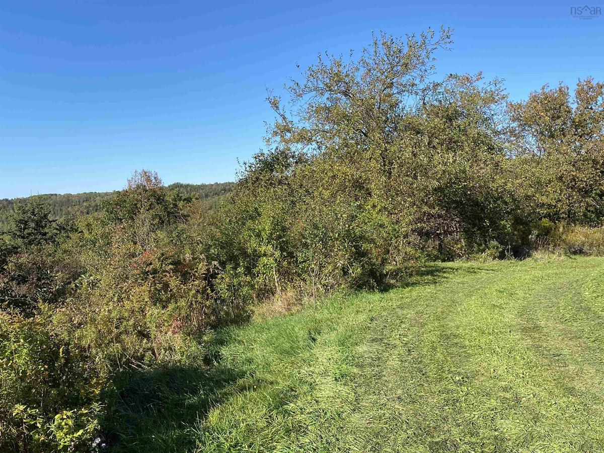 335 Riverview Road, Bear River, (MLS® 202223592) RE/MAX nova