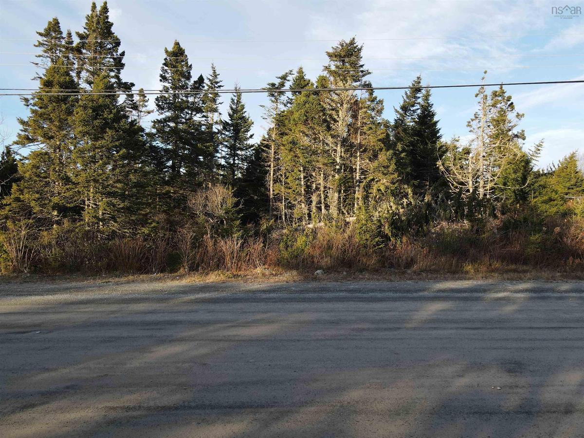 Lot A2 Cross Road, Ostrea Lake, (MLS® 202226726) RE/MAX nova