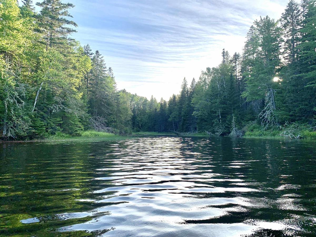 2211A Black Lake Road, Black Lake, (MLS® 202300288) RE/MAX nova