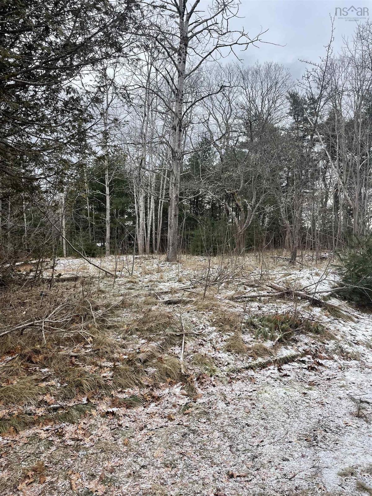 154 East Sable Road, East Sable River, (MLS® 202302283) RE/MAX nova