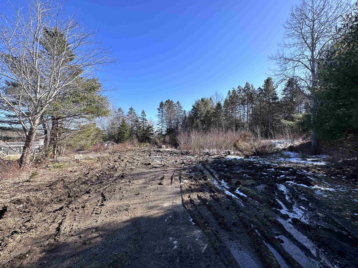 71 Bridgeview Drive, Gold River, (MLS® 202302486) RE/MAX nova