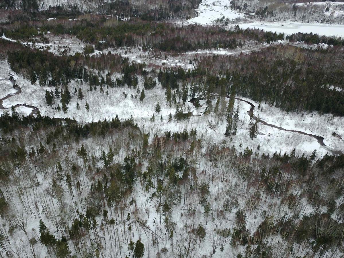 0 Frenchvale Road, Frenchvale, (MLS® 202302525) RE/MAX nova