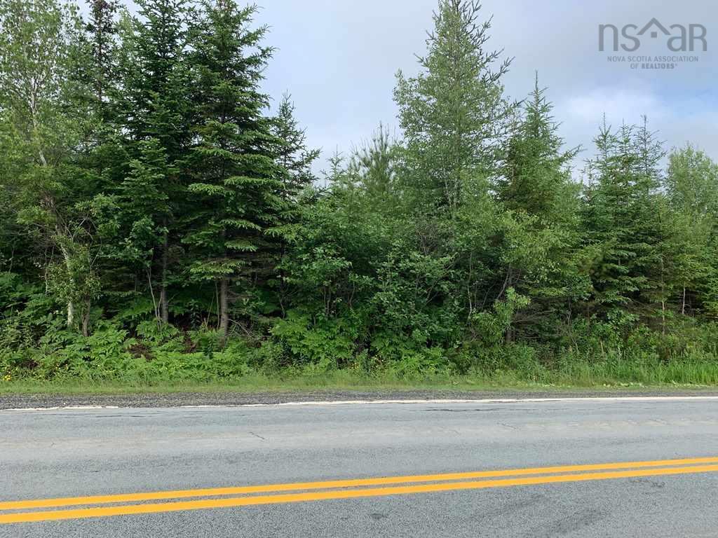Lot 961 Highway 14, Nine Mile River, (MLS® 202306549) RE/MAX nova