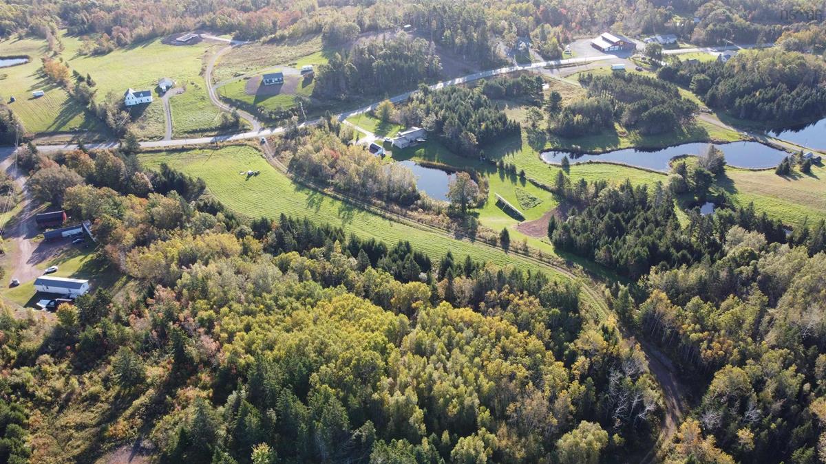 15.7 Acre Lot Stellarton Trafalgar Road, Riverton, (MLS® 202306583) RE