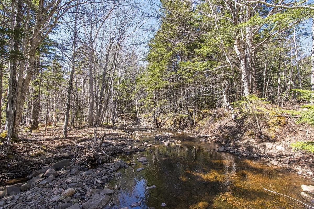 Lot Shore Road West, Youngs Cove, (MLS® 202308665) RE/MAX nova