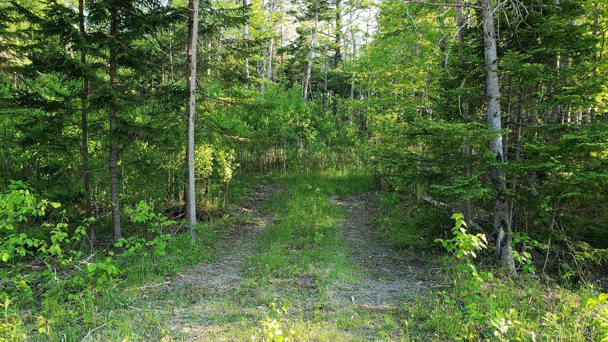 Lot Lansdowne Road, Bear River, (MLS® 202310606) RE/MAX nova