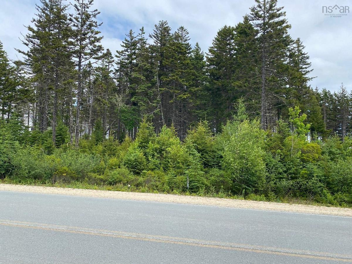 Lot 19 Endeavour Avenue, East River Point, (MLS® 202312425) RE/MAX nova