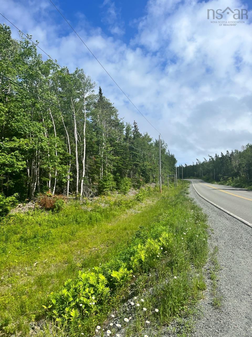 Hornes Road, Mira Gut, (MLS® 202313380) RE/MAX nova