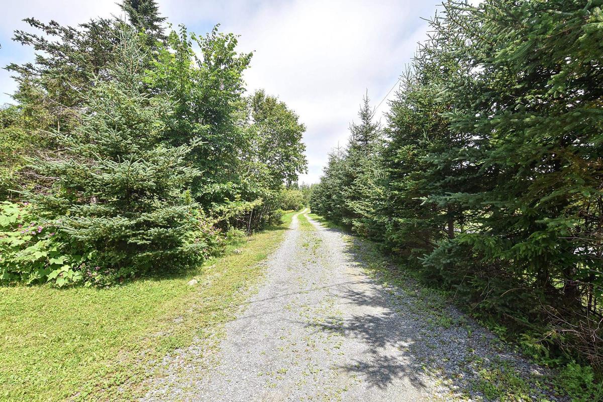 707 Bissett Road, Cole Harbour, (MLS® 202315122) RE/MAX nova