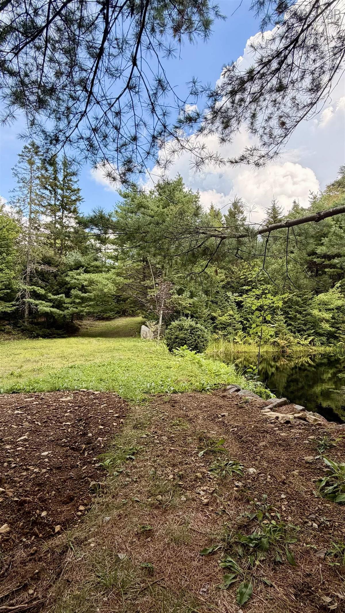  MLS ()