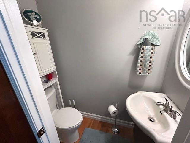  MLS ()