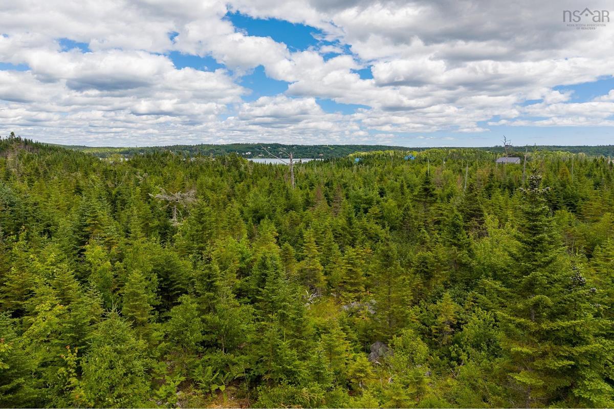  MLS ()