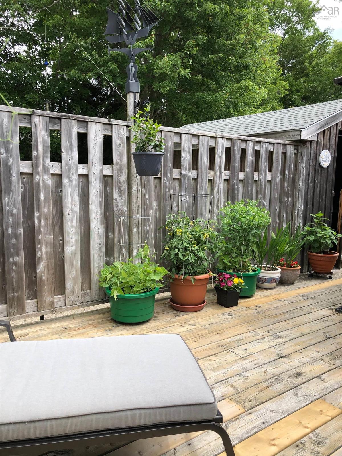  MLS ()