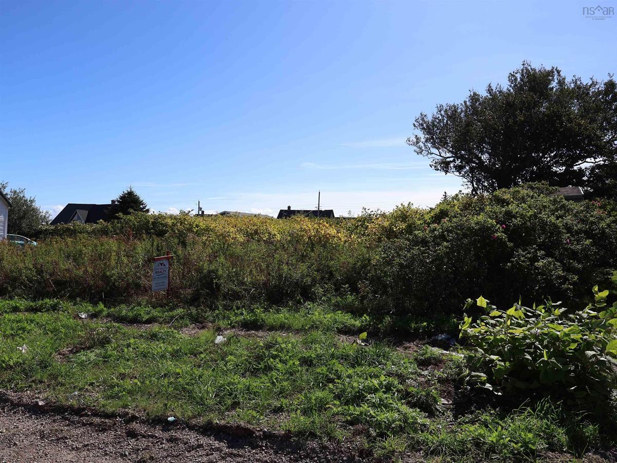  MLS ()