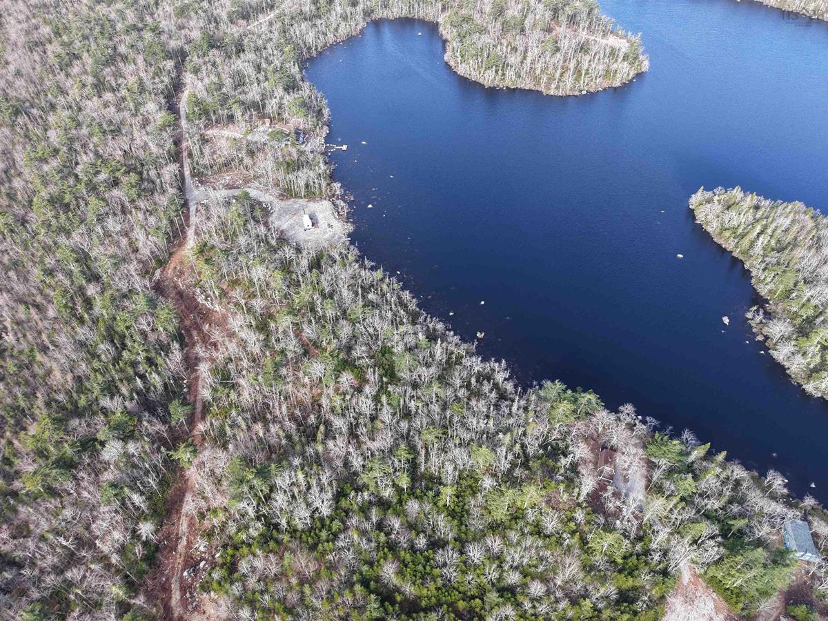  MLS ()