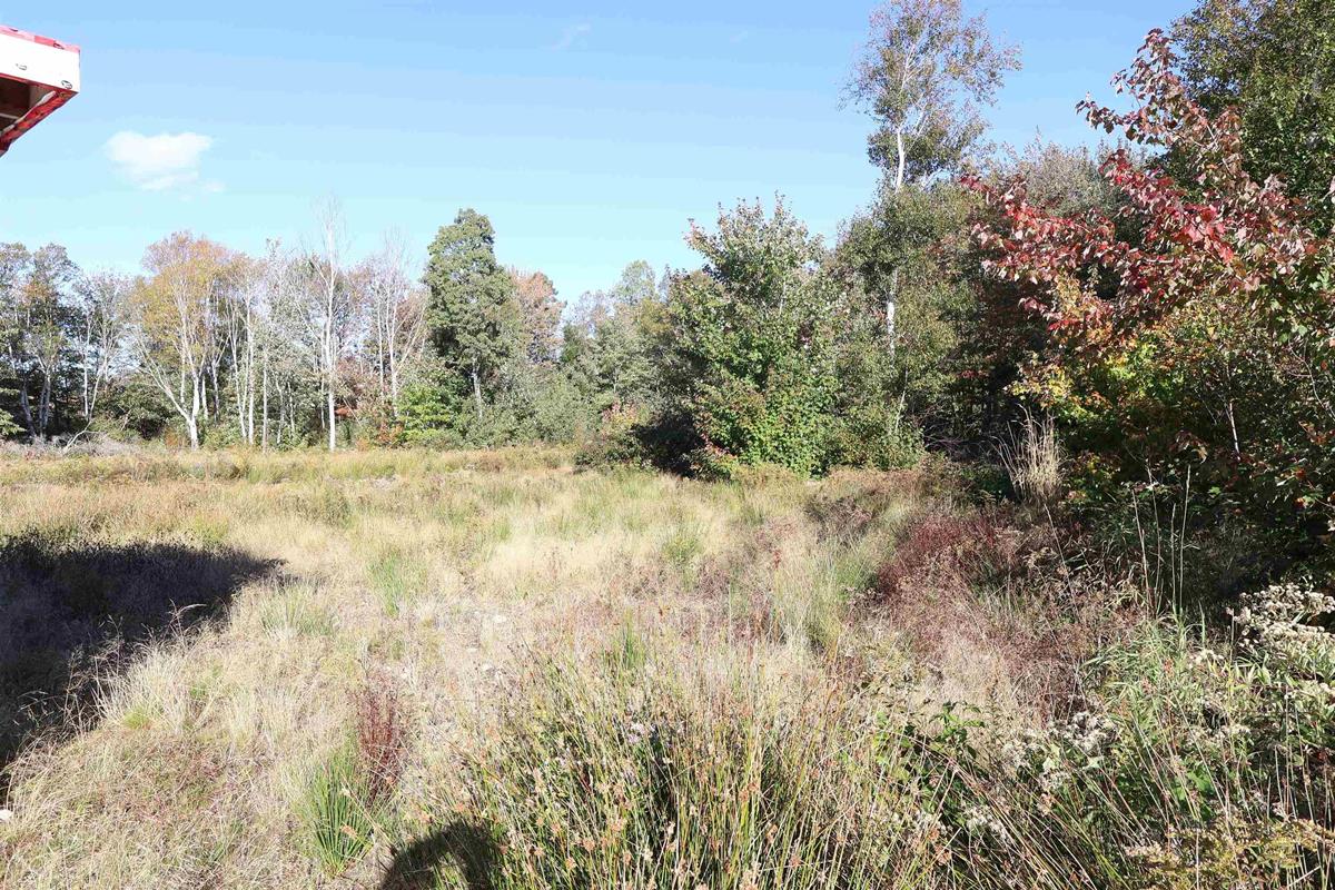  MLS ()
