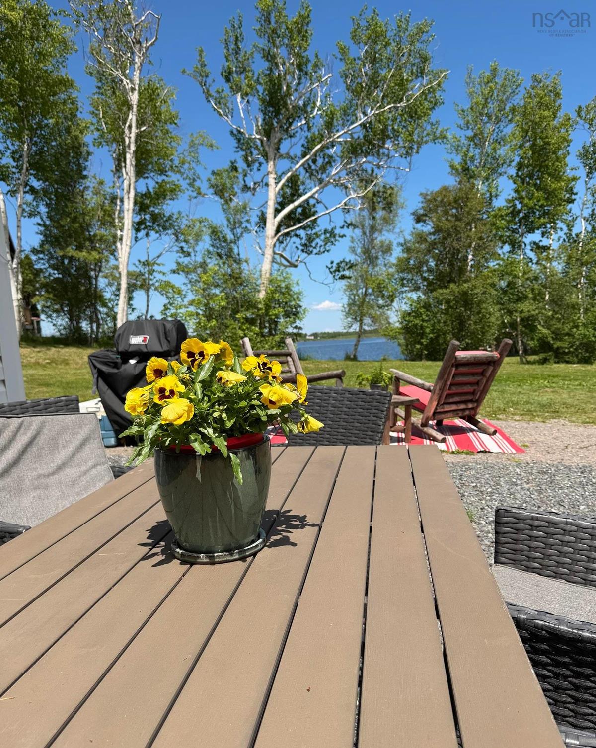  MLS ()