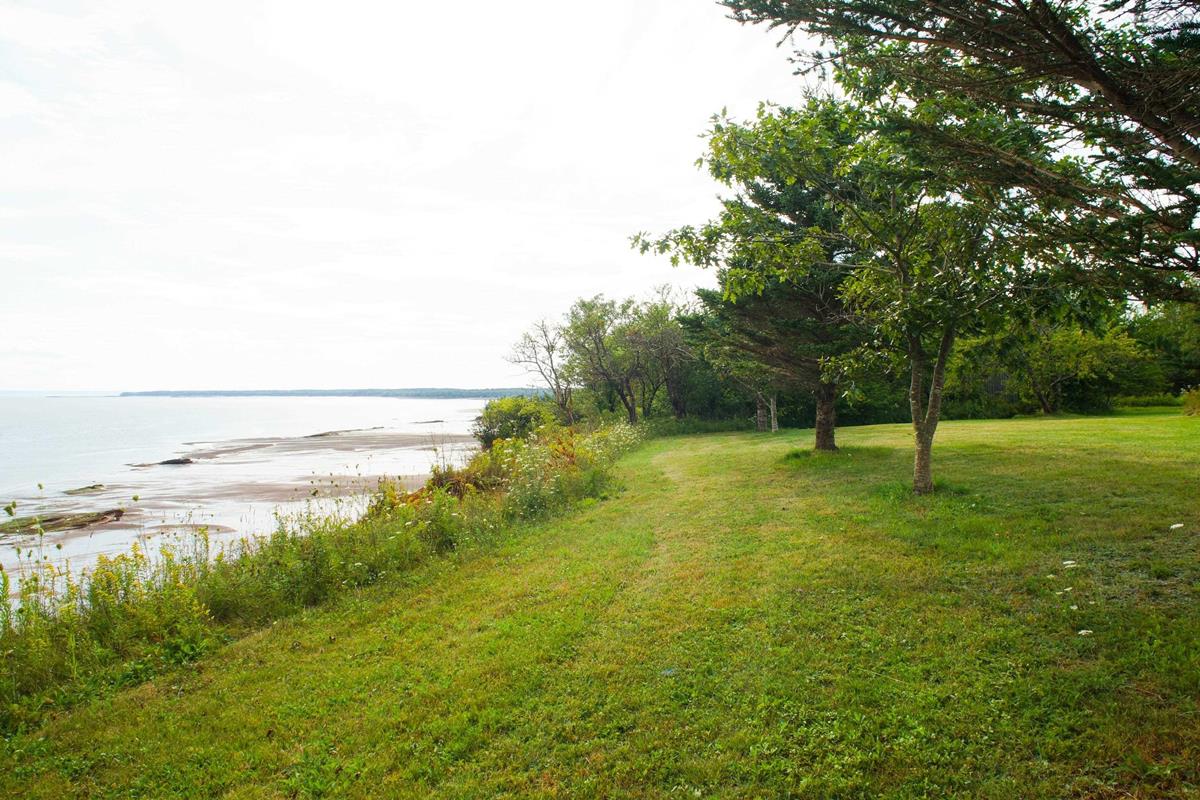  MLS ()