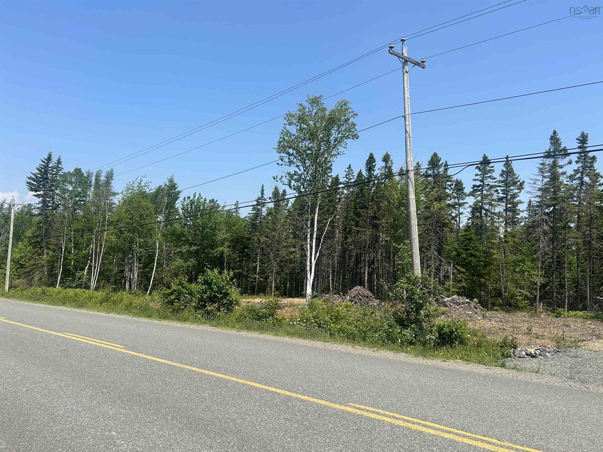  MLS ()