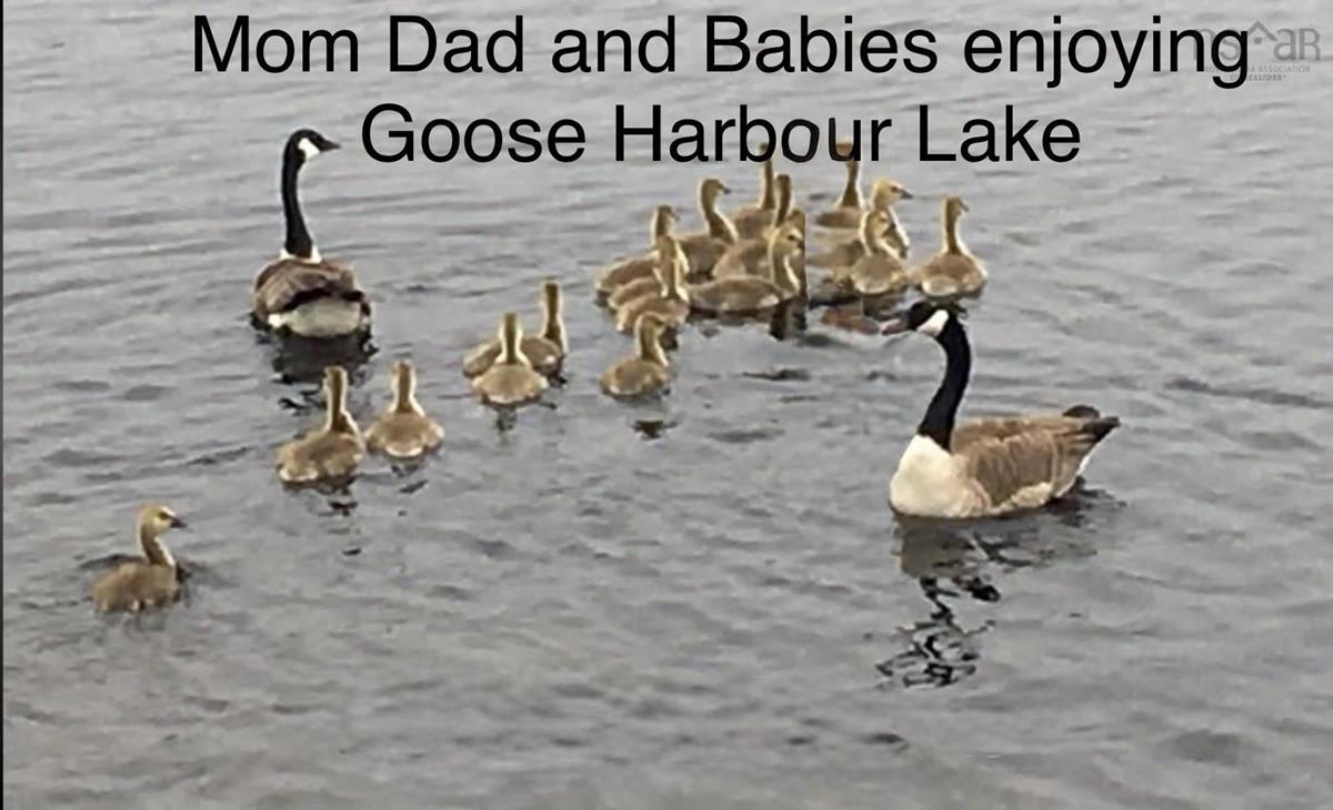  MLS ()