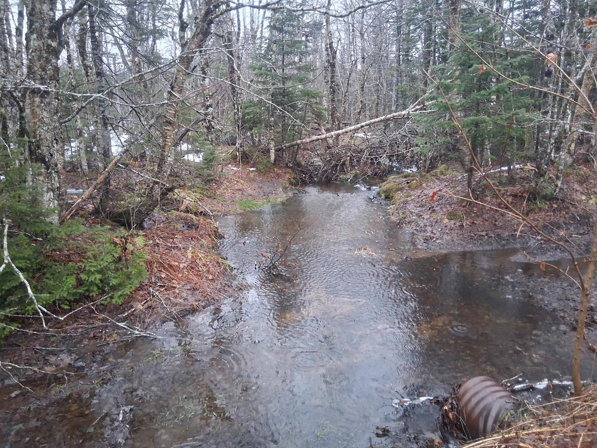  MLS ()