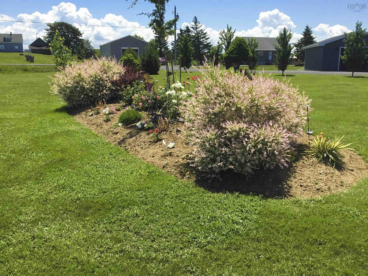  MLS ()