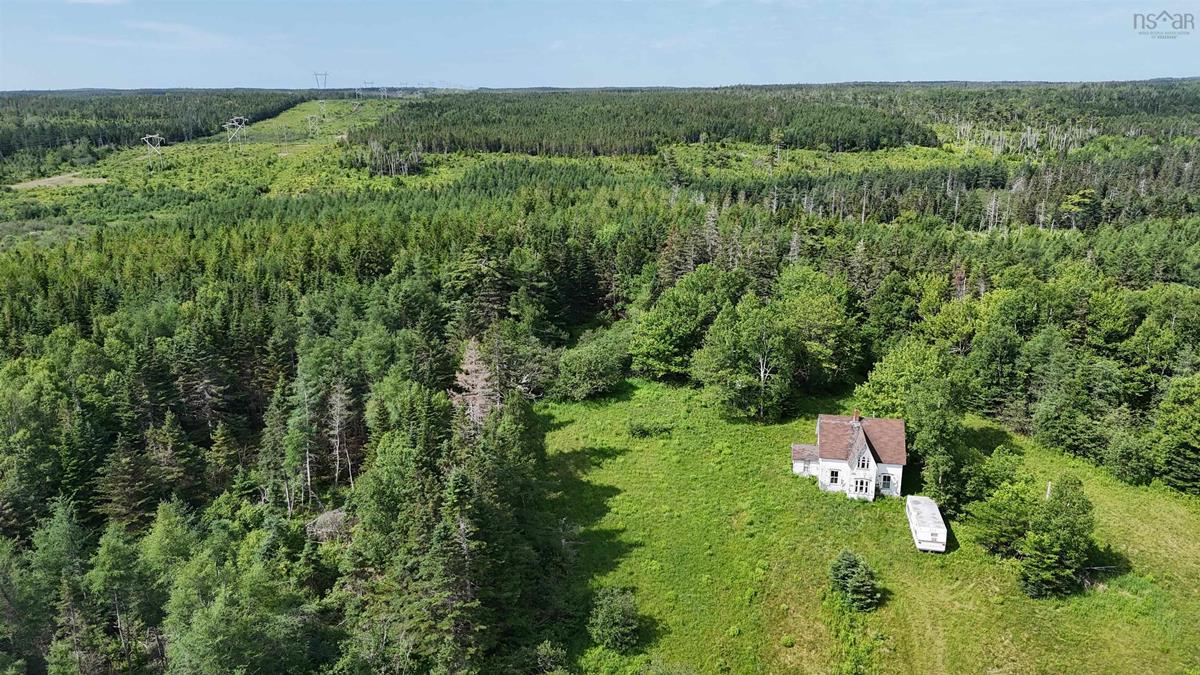  MLS ()