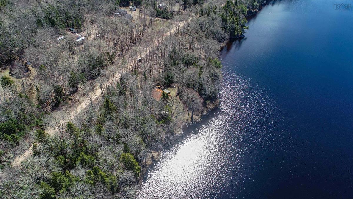  MLS ()