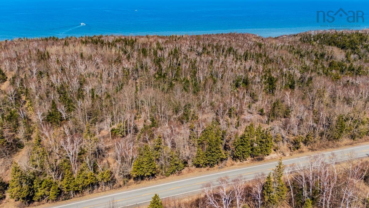  MLS ()