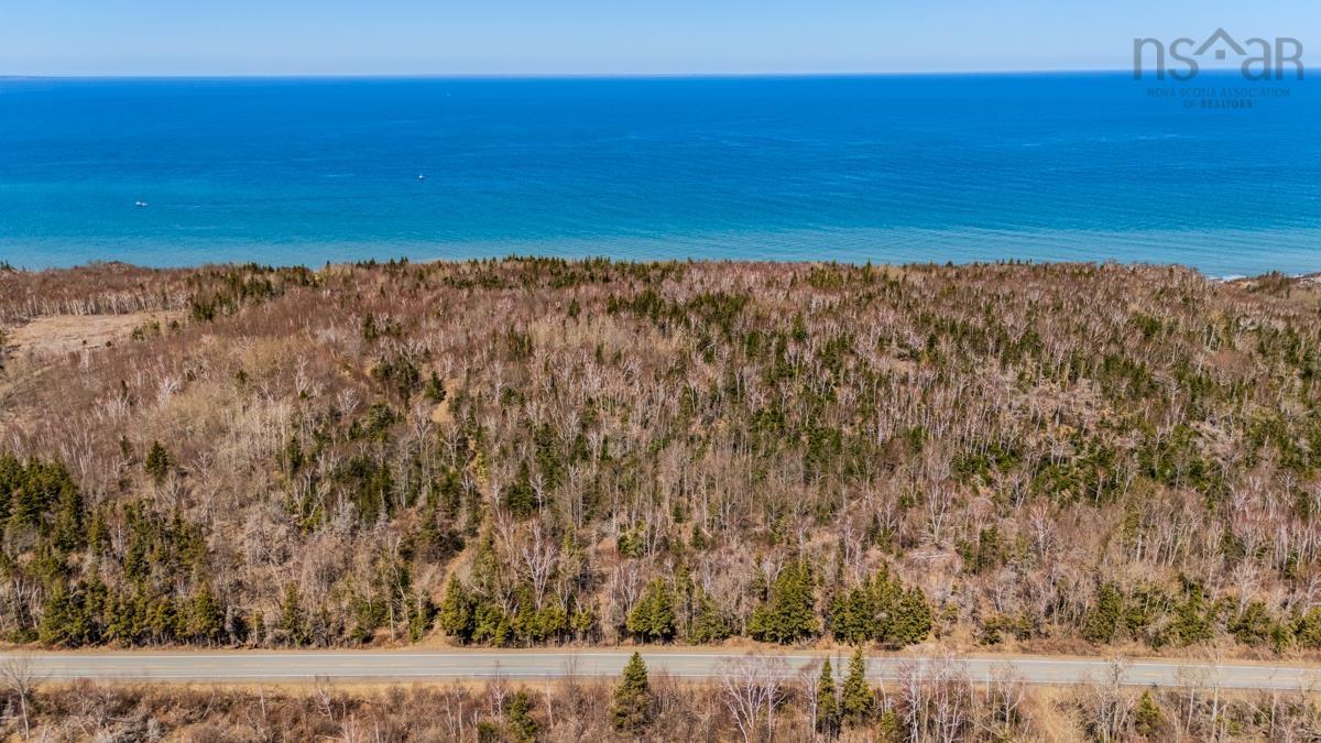  MLS ()
