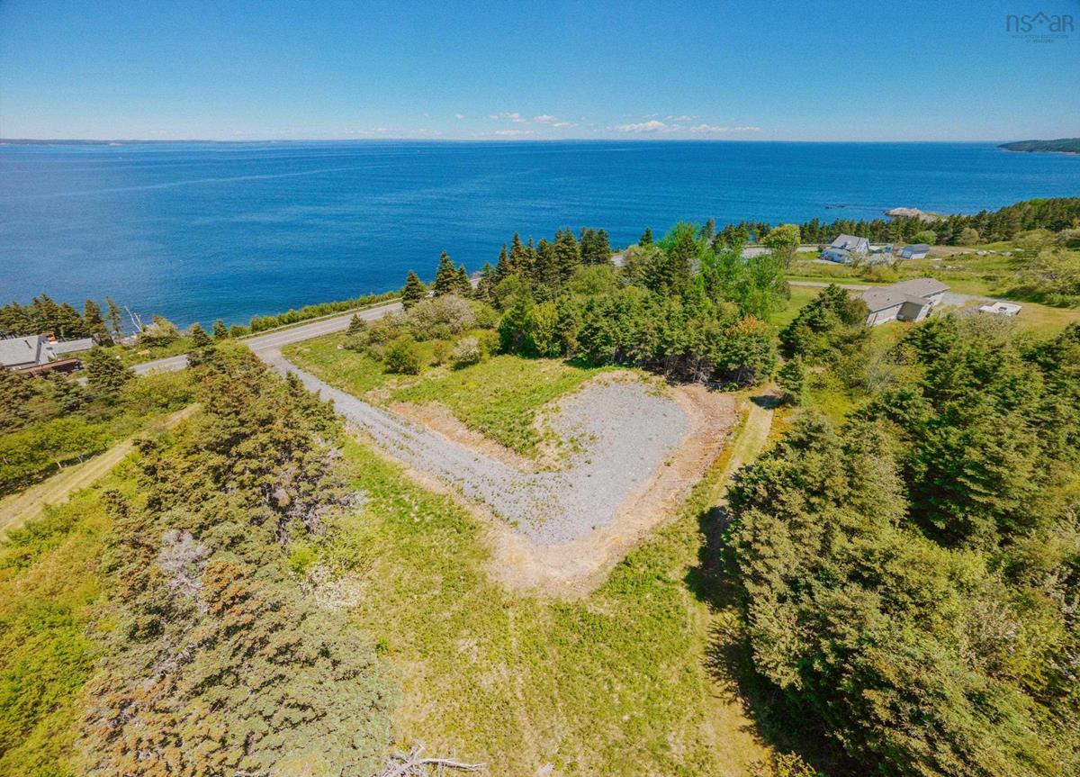  MLS ()