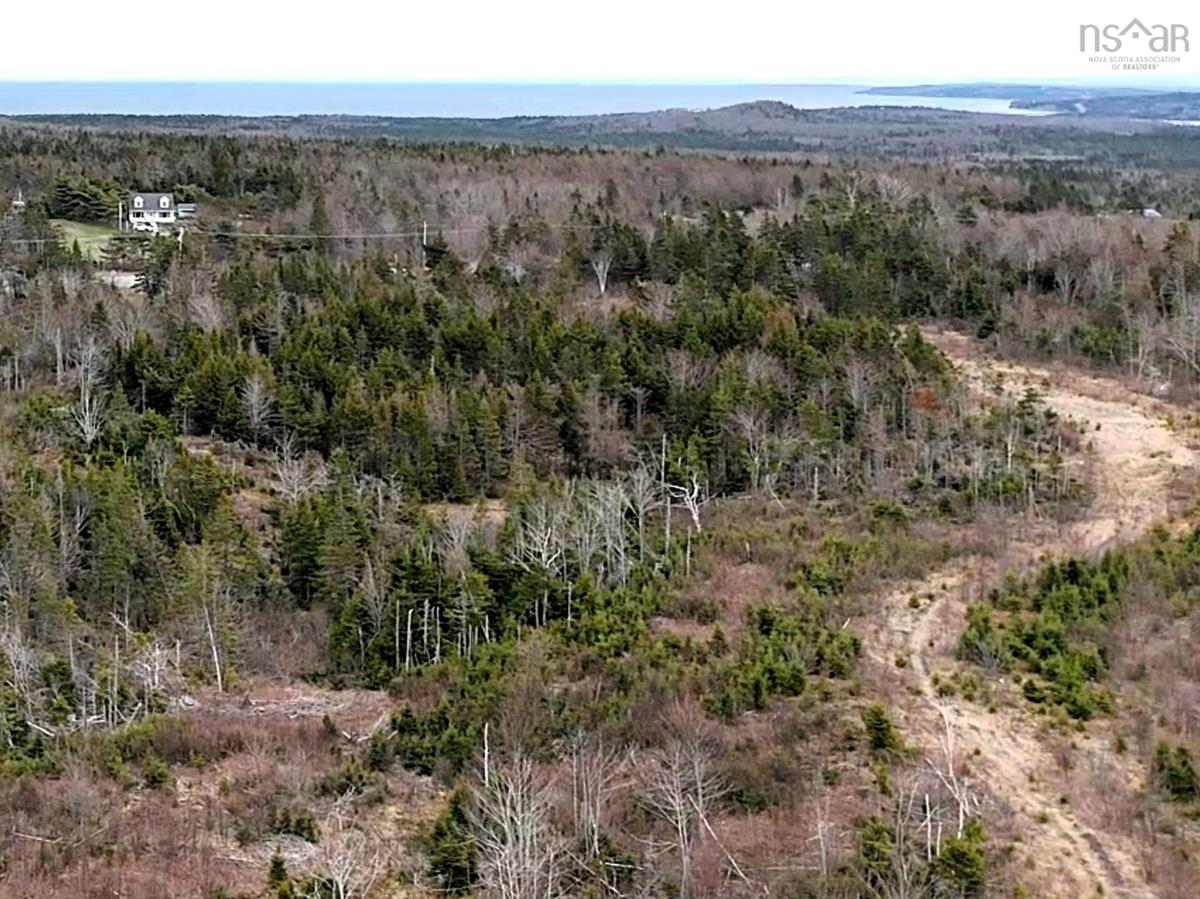  MLS ()