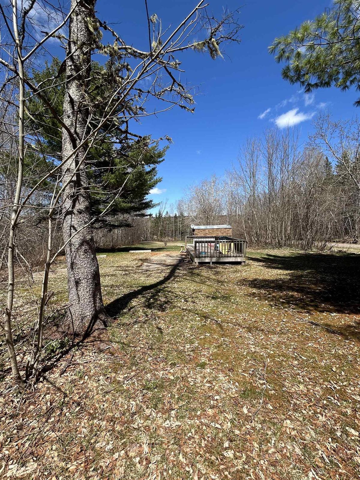  MLS ()
