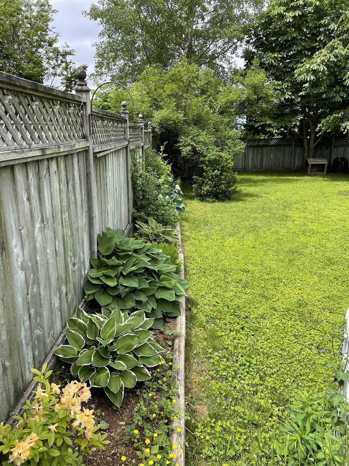  MLS ()