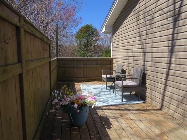  MLS ()