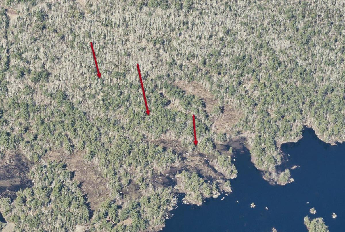  MLS ()