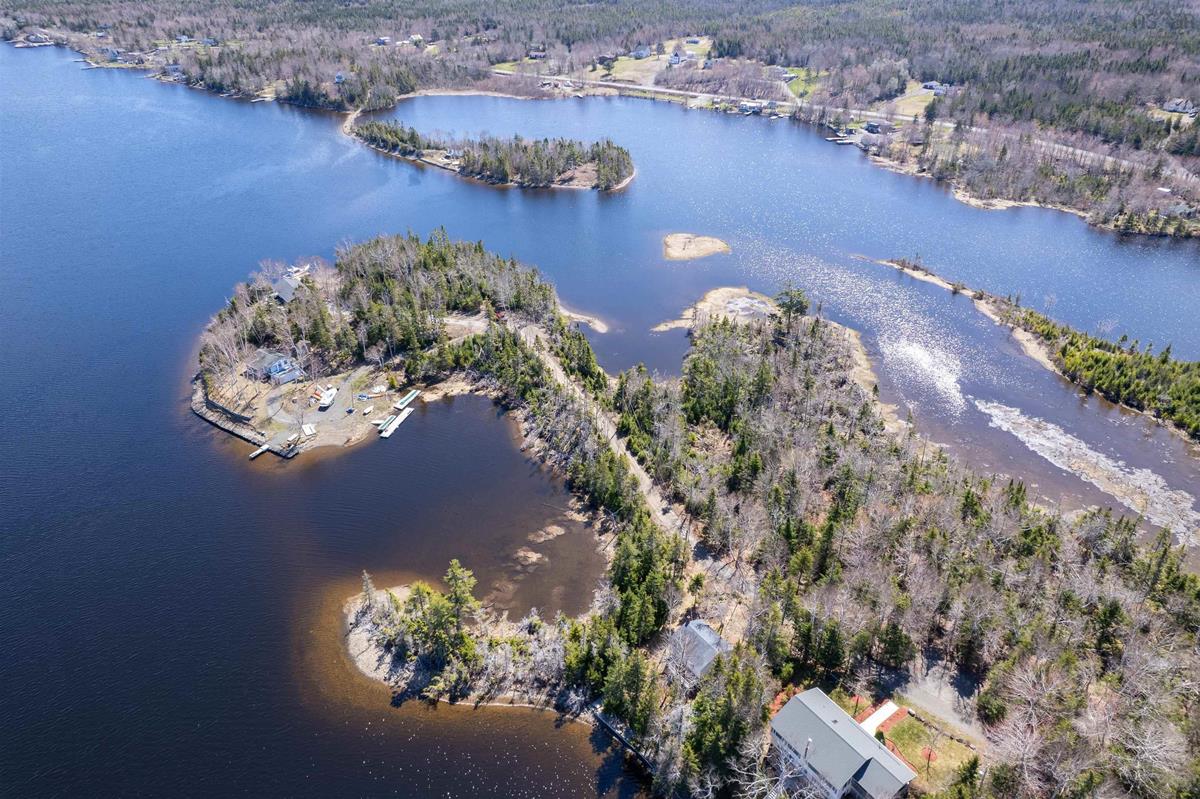  MLS ()