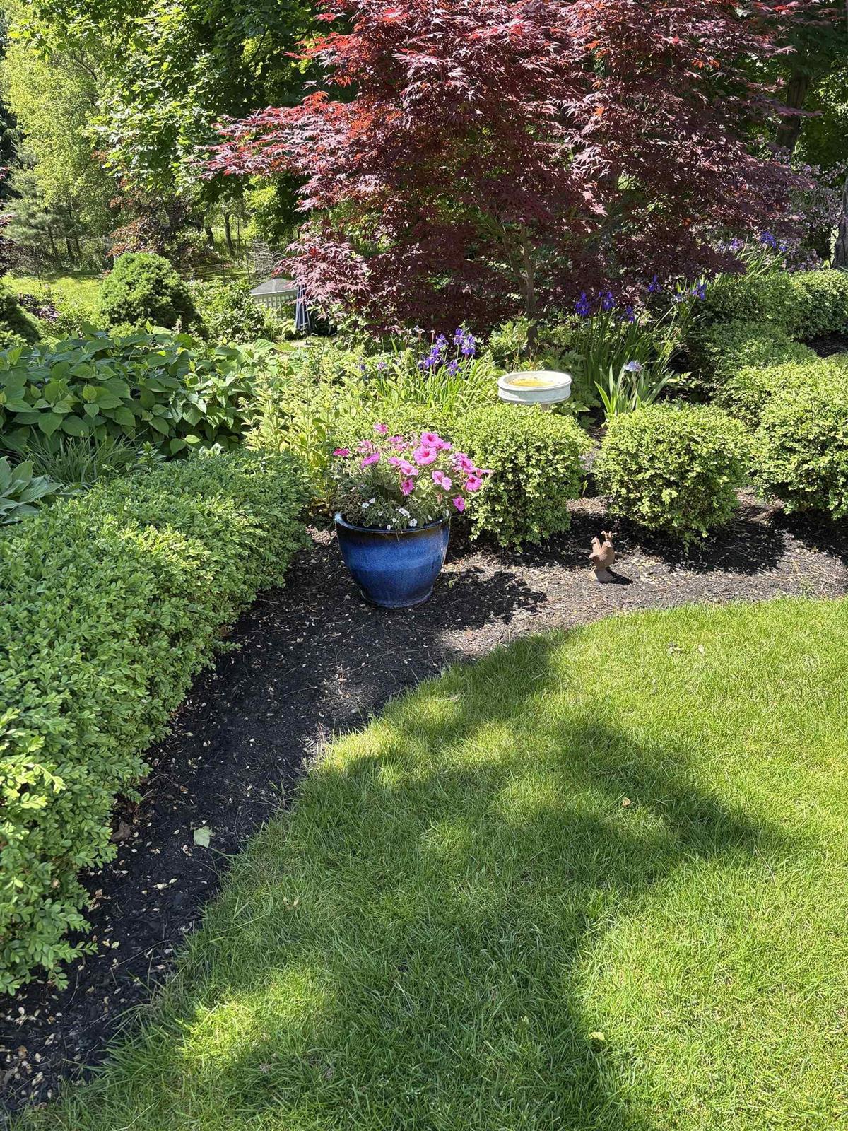  MLS ()