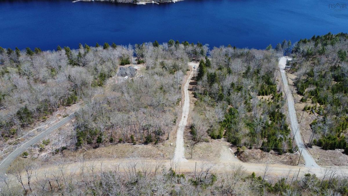  MLS ()